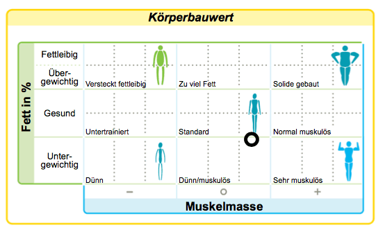 construction 4